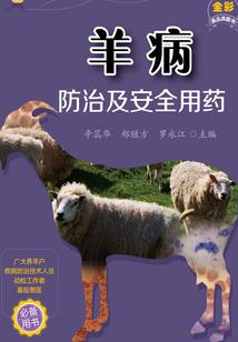 人在无限哪有不疯的