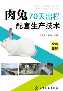纪元之变