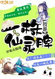 制霸三国战纪