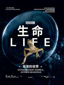 帝乾武王