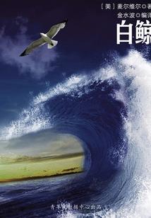 在修仙界挣扎的日子