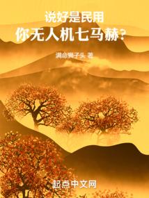 无限紫皇
