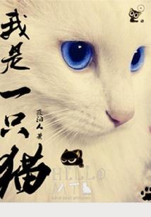 与你共赴世界之巅