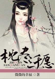 记忆的迷宫
