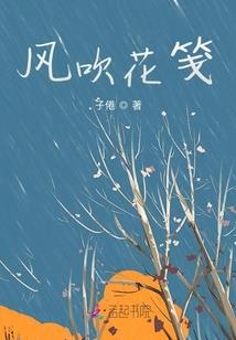 不等你了夏先生