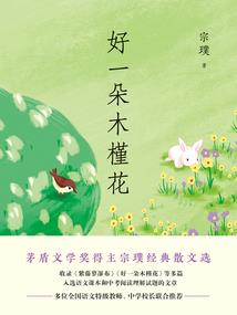 情宝灵劫