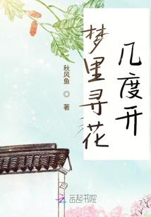 最后的兵团