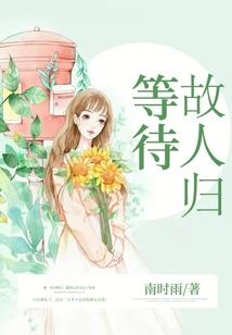 绿茵场上的中场天王