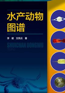 直播算命：你有血光之灾