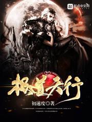 射狐全传