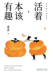 星河匪军