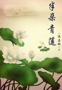 飘渺乱世录