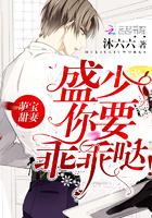 圣剑使很是无奈