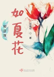 码农与魔法与机甲