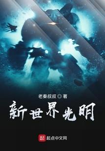 银色之翼
