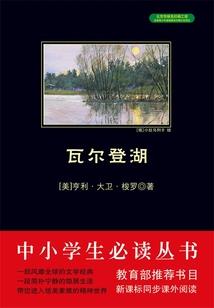 武道家行于异世
