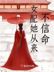 穿越之少爷的小小小丫鬟