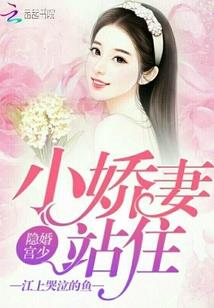 锦年之夏——锦流年