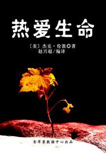 宿主今天动手了吗