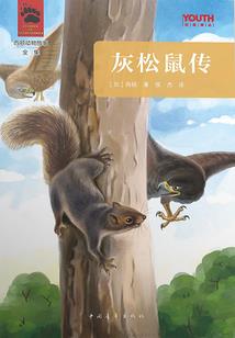 流星的尾巴带来爱