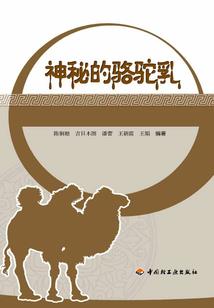 满世界的冬雪让我何处躲避